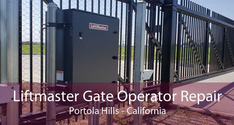 Liftmaster Gate Operator Repair Portola Hills - California